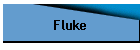 Fluke